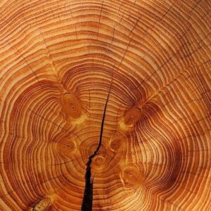 Лестницы по виду древесины